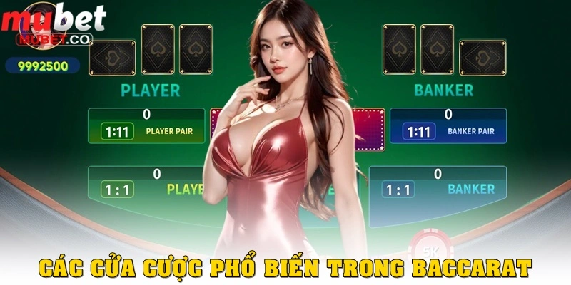 Các cửa cược phổ biến trong baccarat là gì? 